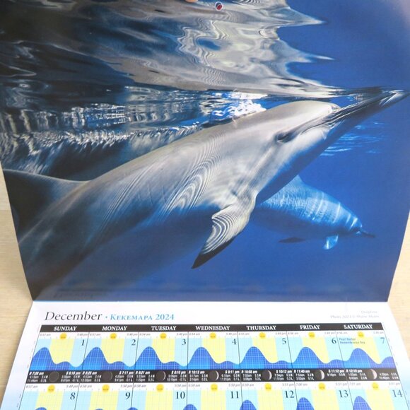 2 Hawaii Tide Moon Phase Calendars 2023/2024 Featuring Marine Life Photography - Picture 14 of 16